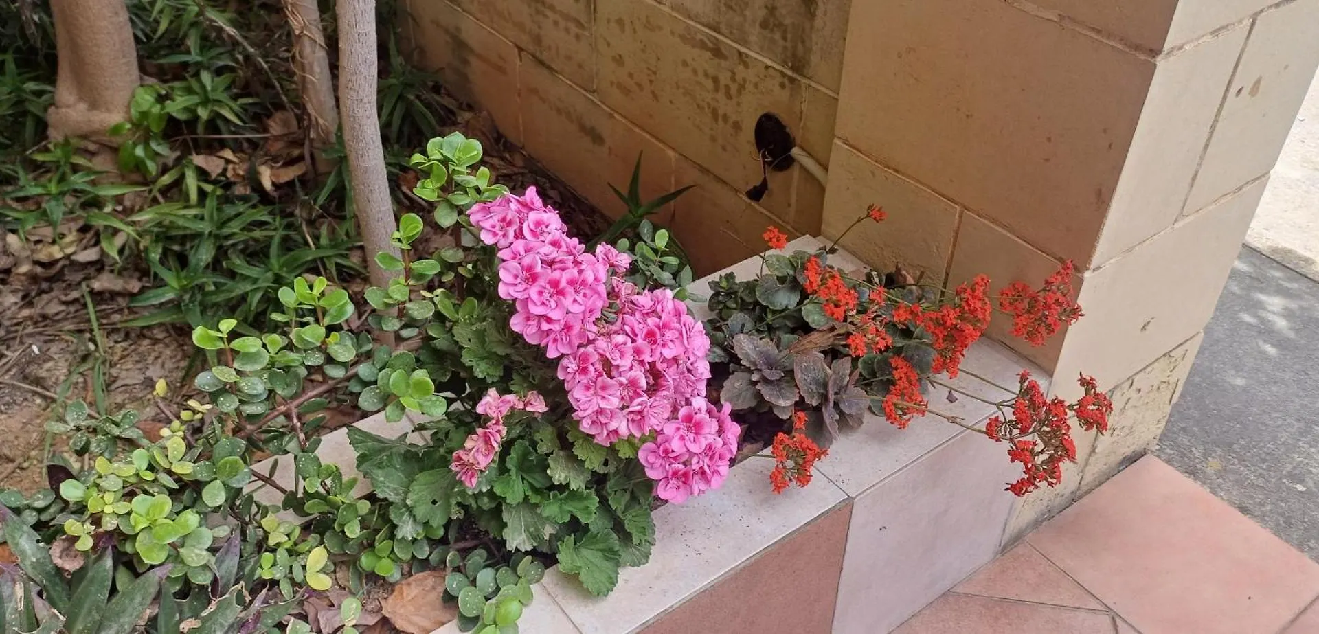 Cosy Spacious Maisonette Marsaskala 0*,  Malta