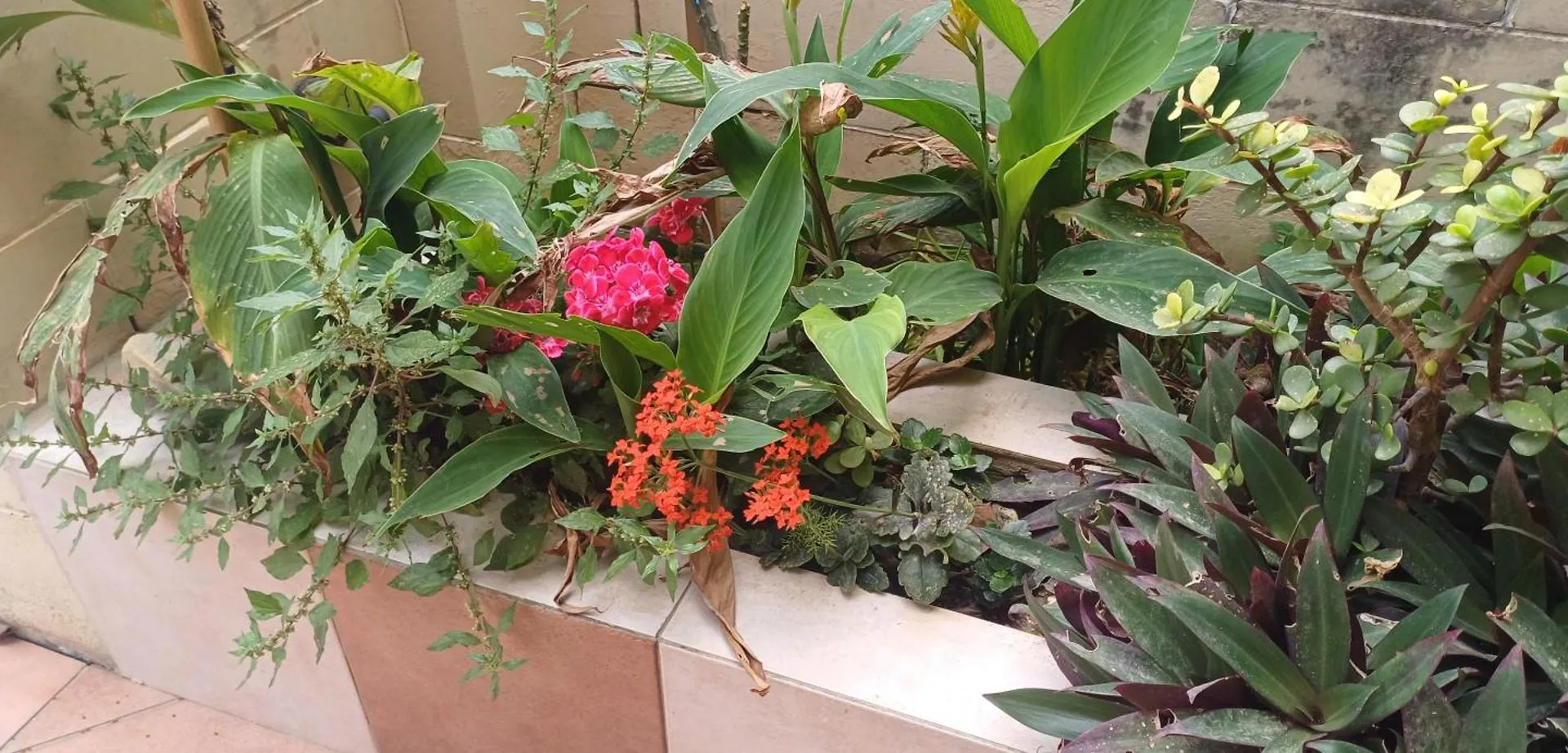 Cosy Spacious Maisonette Marsaskala Apartment